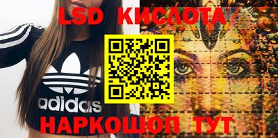 бошки Тара