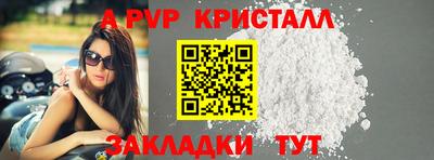 индика Тверь