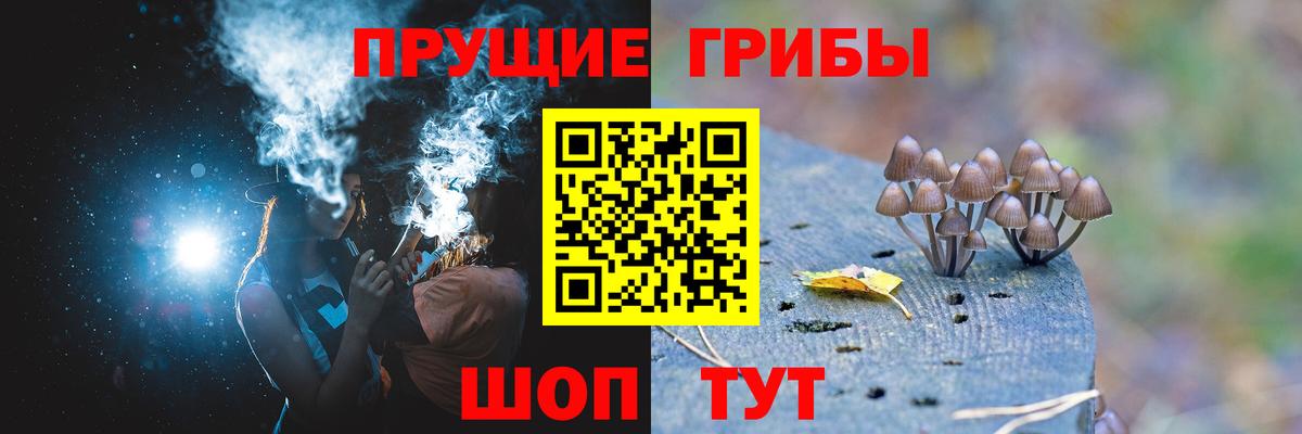 Галлюциногенные грибы прущие грибы Можайск